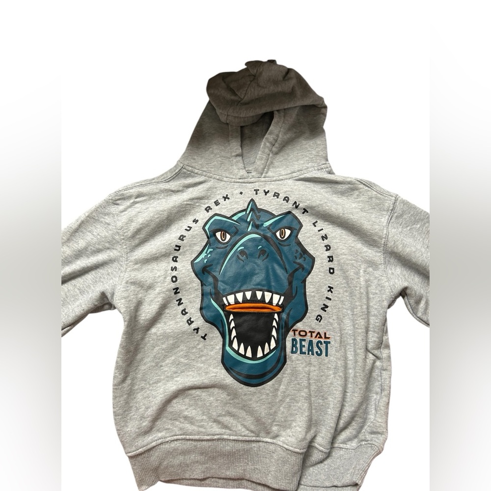 Dinosaur Boys Hoodie